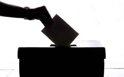 Bundeswahlausschuss nicht am Karfreitag und digitales Verfahren für die Unterstützerunterschriften!
