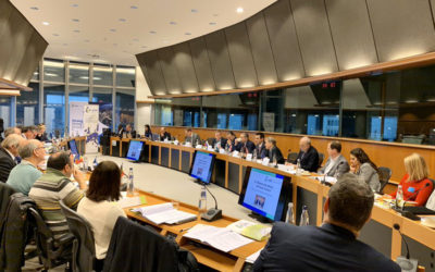 ECPM Versammlung beschließt Resolution von Bündnis C zur Invasion der Türkei in Nordost-Syrien