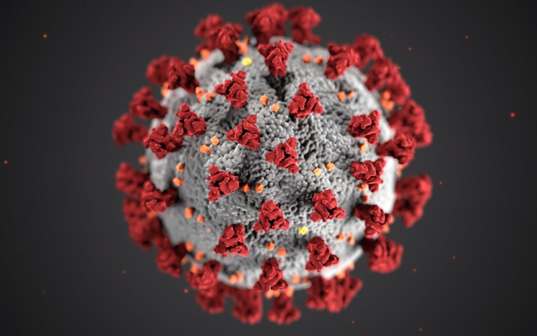 Epidemiologische Aspekte der SARS-CoV-2 Pandemie