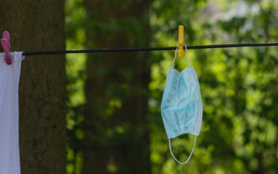 Freiheit oder Sicherheit?