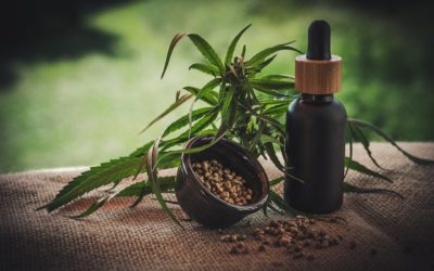 Cannabis: Den Nährboden für Drogenkonsum austrocknen