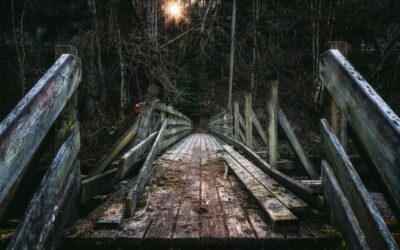 Wahlen im Osten, eine eingestürzte Brücke und Hochwasser: Wo sind die Brückenbauer?