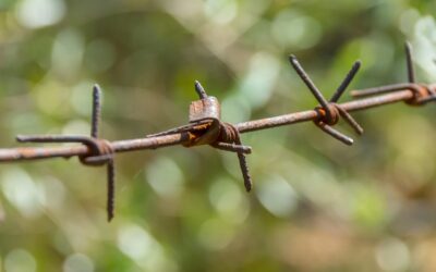 Asyl und Migration: Dem Einzelfall gerecht werden!